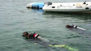 Oonas Dive Club Movie