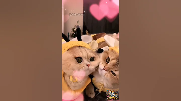 Video 8341171: cats love catlovers kitten, funnycats cute cats animals, funnycats happy cats, cat funnycat gaming, vr cat game, cat funny animal gaming