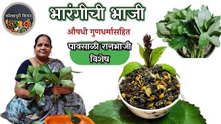 भारंगीची भाजी रेसिपी व औषधी उपयोग | Bharangichi bhaji recipe in marathi | Bharangi bhaji | #ranbhaji