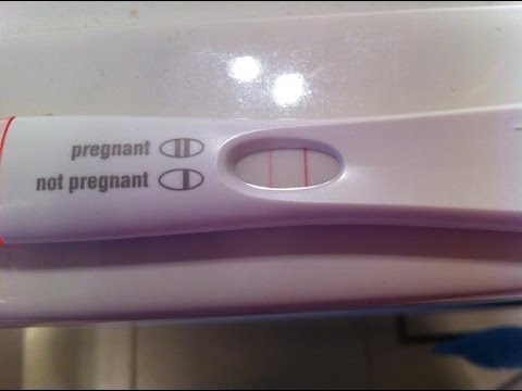 how-to-increase-the-chances-of-getting-pregnant---reverse-infertility-and-get-pregnant-naturally