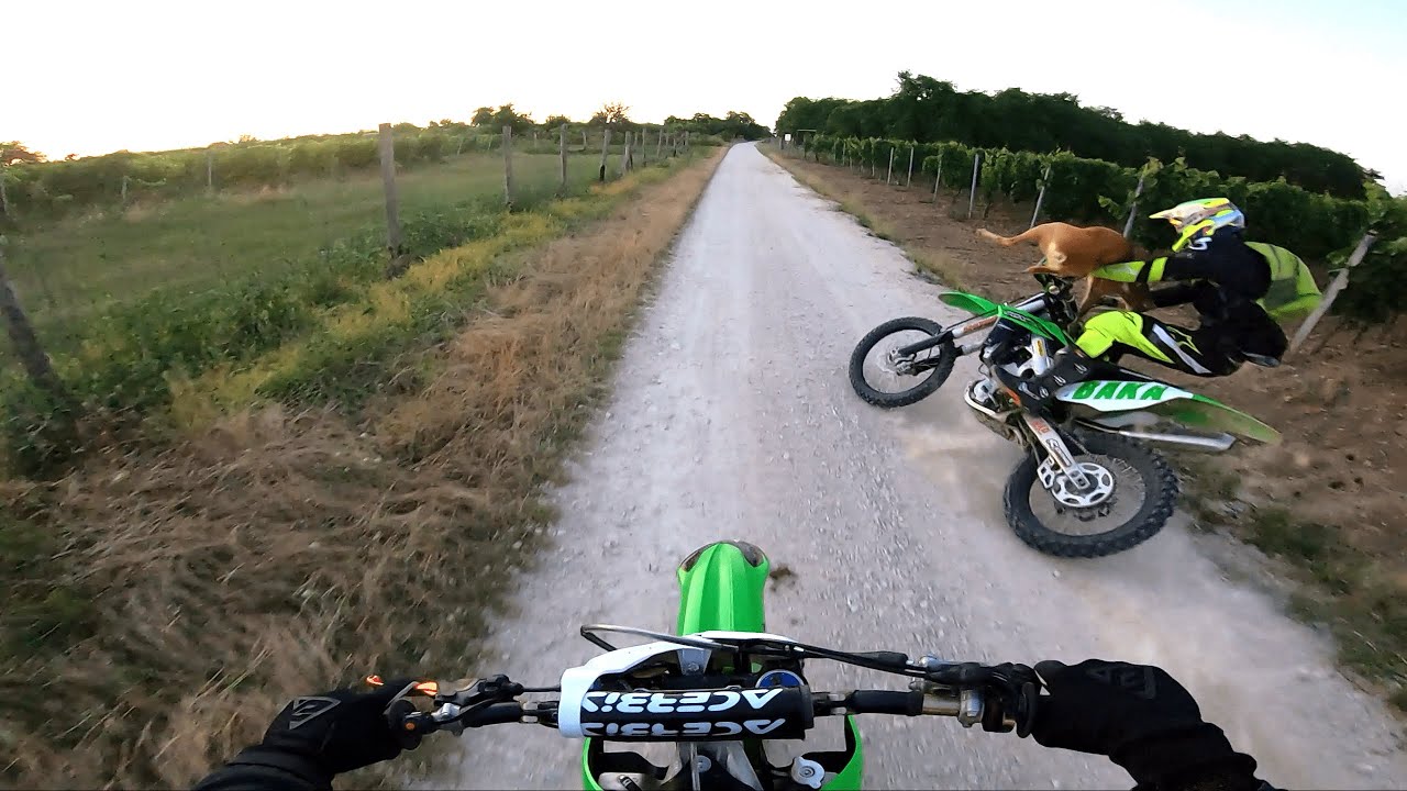 I got KNOCKED off my DIRT BIKE by a f*ck*in' DEER! - YouTube