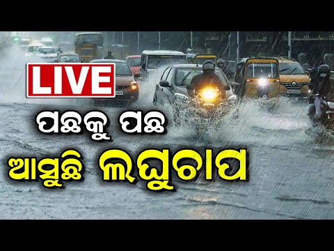 Odisha Rain News Today LIVE | ପଛକୁ ପଛ ଆସୁଛି ଲଘୁଚାପ | Weather Updates | Low Pressure | Odia News