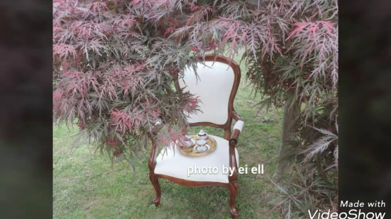 MUM Ed Sheeran song Divide Supermarket flowers _my video "For the