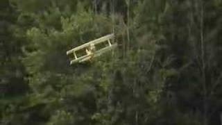BullDog EPP Pitts S2 3D plane
