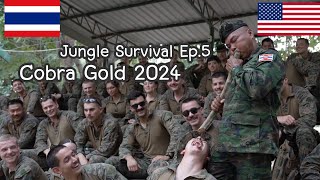 🇹🇭&🇺🇸  Jungle Survival Ep.5 การหาน้ำ และอาหาร ในการฝึก Cobra Gold 2024