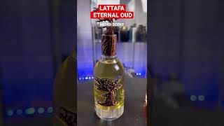 Top 5 Best Cheap Alternative Clones For High End Expensive Winter Fragrances Colognes