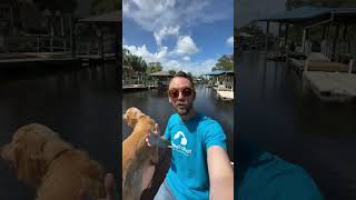 The BEST Software for Pet Sitting and Dog Walking Businesses!