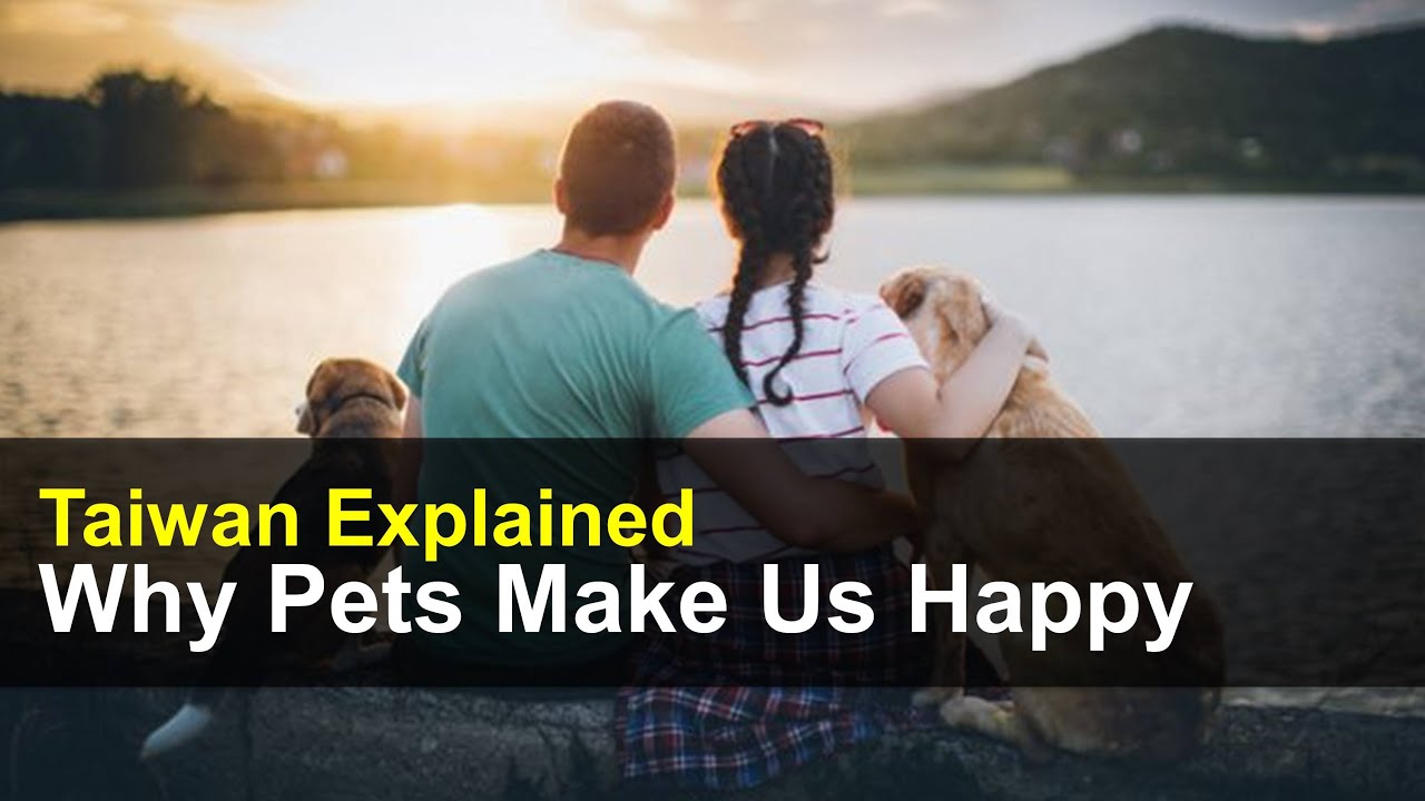 Why pets are good for us Taiwan Explained, Sept. 10, 2020 Taiwan