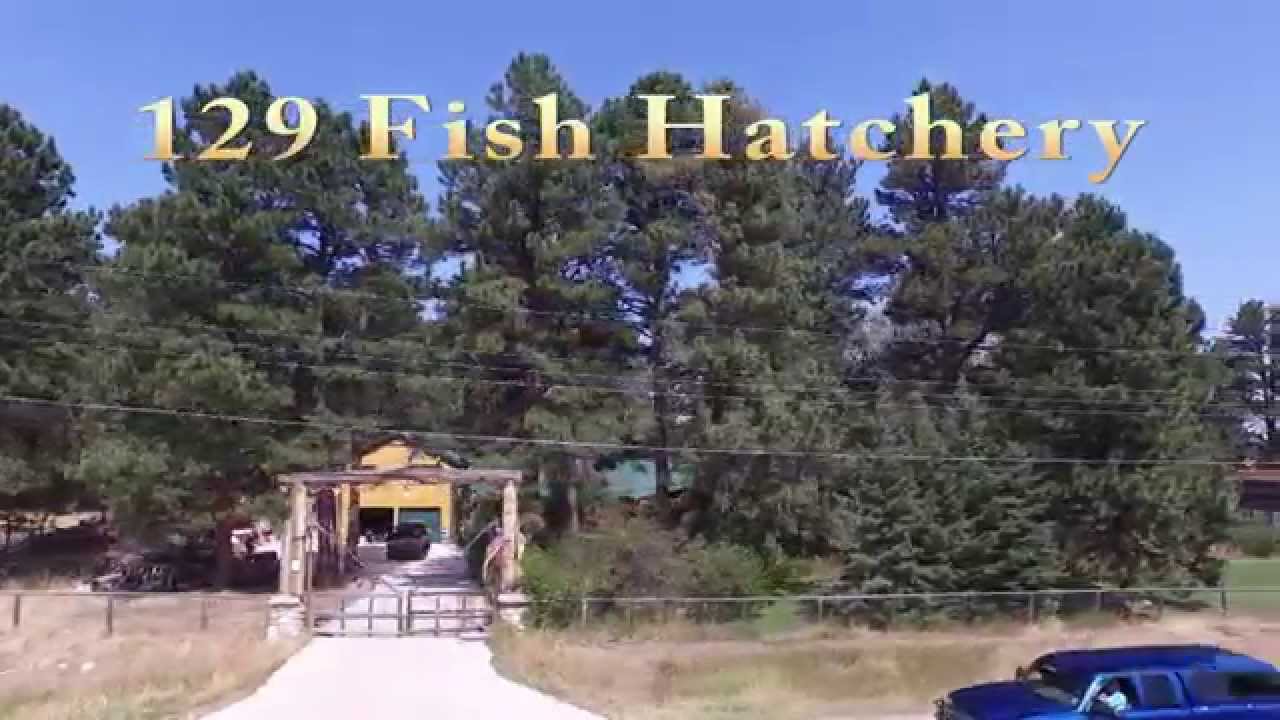 129 Fish Hatchery, 1.61 Acre horse property, Story Wyoming YouTube
