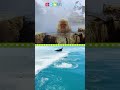 Understanding the Biosphere Concepts