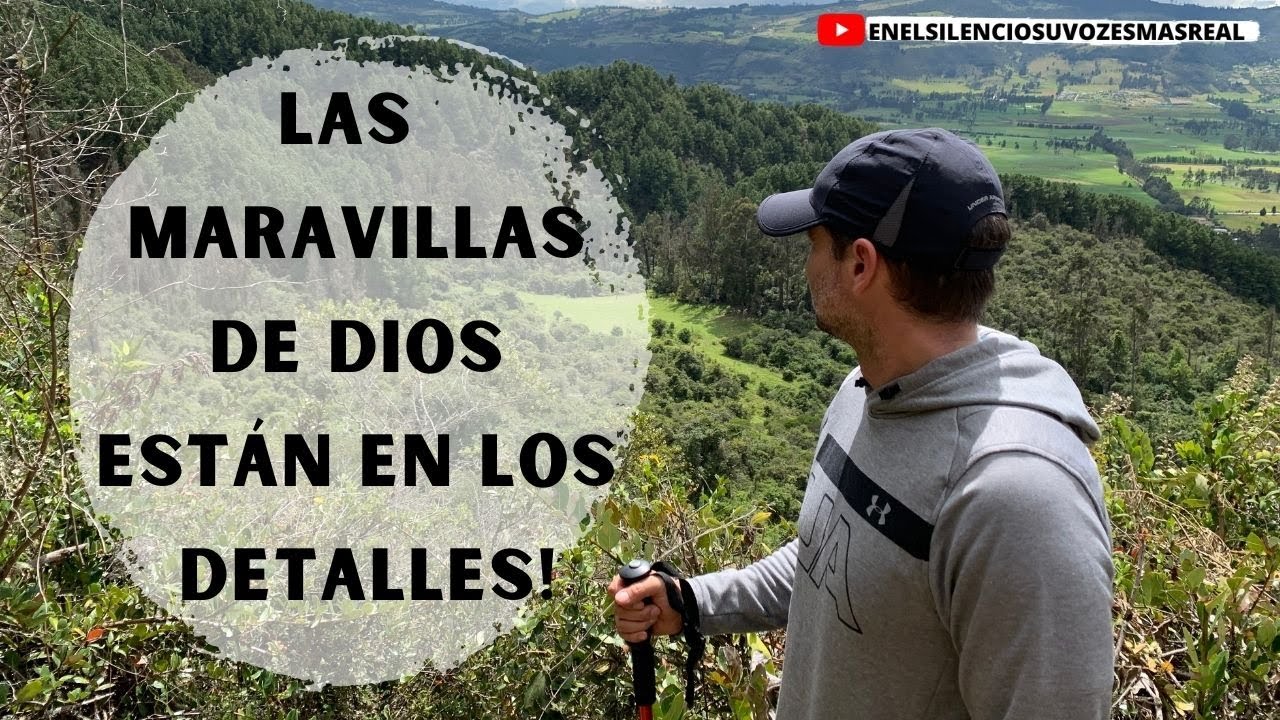 Las Maravillas de Dios Están en los Detalles!: Reflexiones - Davalia