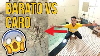 HOTEL Japonés BARATO vs CARO (Hay un insecto horrible)