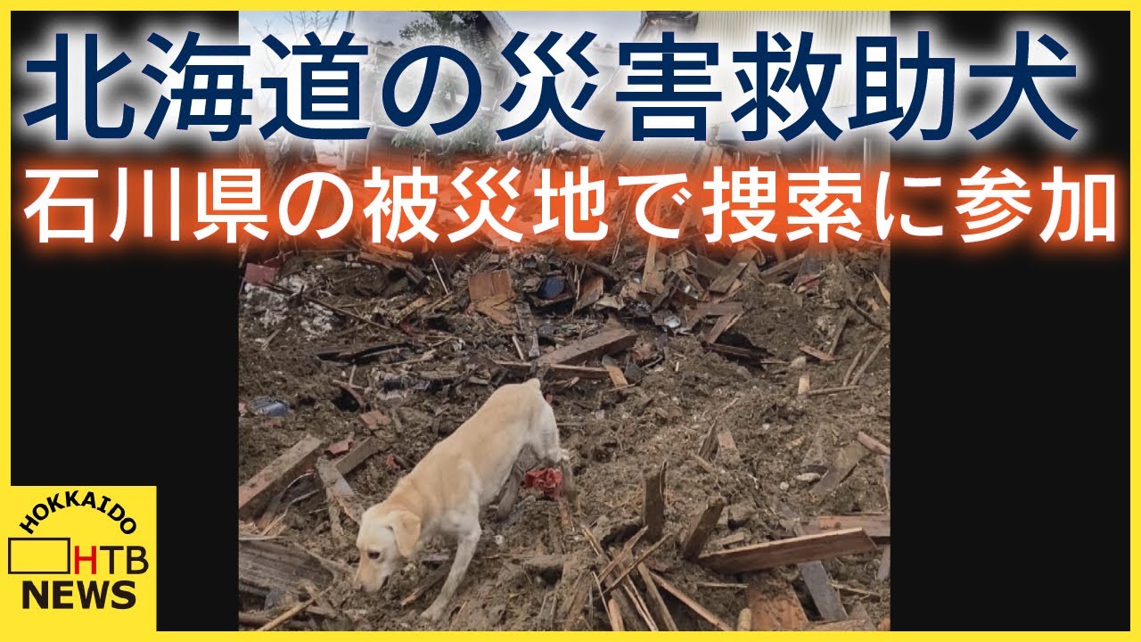 北海道の災害救助犬　被災地で捜索参加「なんとか見つけてあげたい」胆振東部地震がきっかけで団体立ち上げ