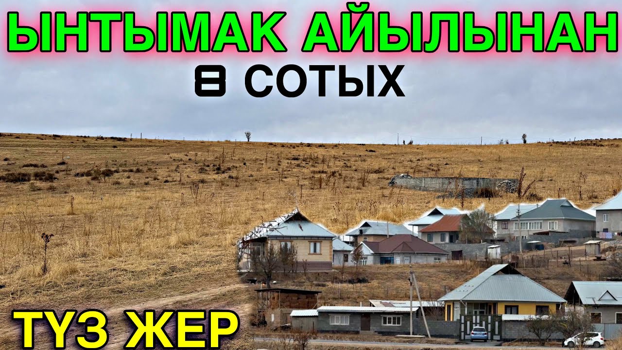 ЧЕК ЧЫКТЫ САТЫЛДЫ ЧАЛМАЙ ЖООК 💪🏻 