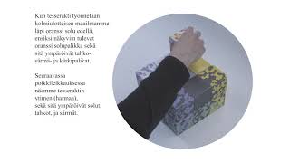 Hintonin palikat -videomateriaali @therearemorethings9700