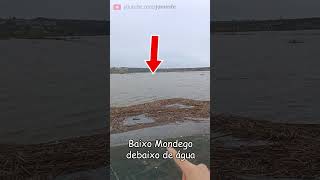 Distrito de Coimbra está debaixo de água 🌊 Inundações em Coimbra