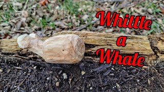 Whittling a Whale for Beginners