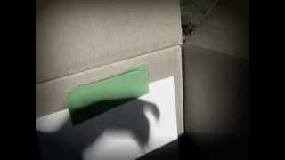 Solar Eclipse - May 20, 2012 Net Worth