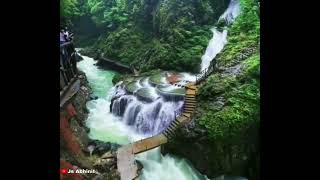 Progressing In Severity As Though A Cascade Of Genetic Damage Was Occurring WhatsApp Status