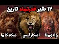 12 تا از قدرتمندترین شیرهای افسانه ای حیات وحش آفریقا 12 تا از قدرتمندترین شیرهای افسانه ای حیات وحش آفریقا