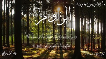 ما تيسر من سورة الروم بمقام الصبا | عصام الصباح