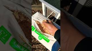 Chicken bedding made of Pine shavings. Smells AMAZING! Grabbed it from my local pet discount store! Chicken bedding made of Pine shavings. Smells AMAZING! Grabbed it from my local pet discount store!