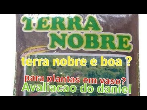 Terra nobre  e boa! a variação do Daniel natureza sobre terra nobre