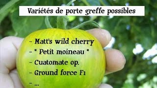 Comment greffer des tomates / greffe de tomate (partie 1)