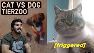 Cat vs Dog - Best Support Class  (TierZoo) CG Reaction