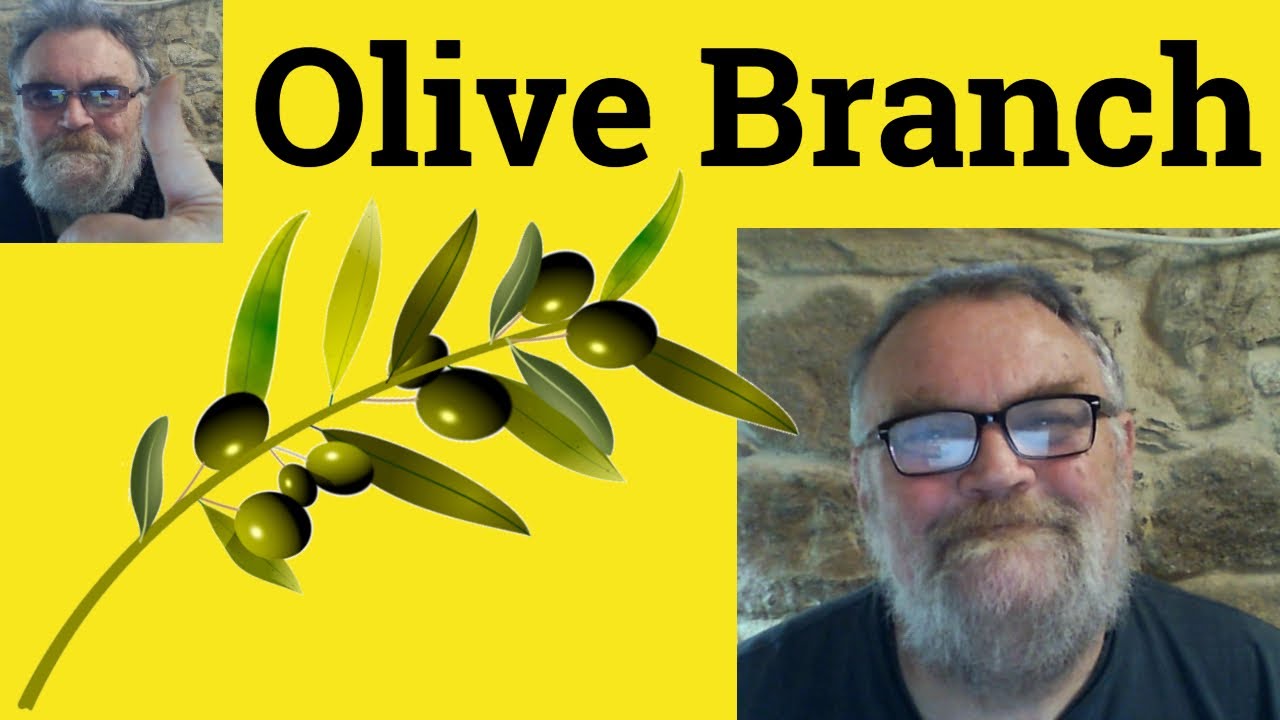 olive-branch-meaning-olive-branch-definition-olive-branch