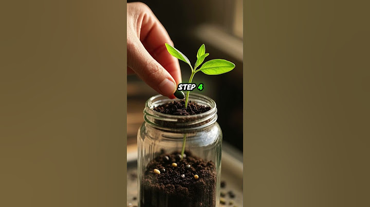 How to Make a Mason Jar Herb Garden | Grow Fresh Herbs Indoors Year-Round