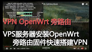 VPN搭建vps安装OpenWrt旁路由固件快速搭建V2RAY SSR节点