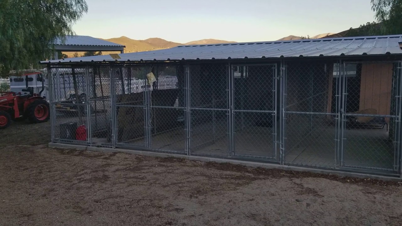 Horse area 2 dog kennels YouTube