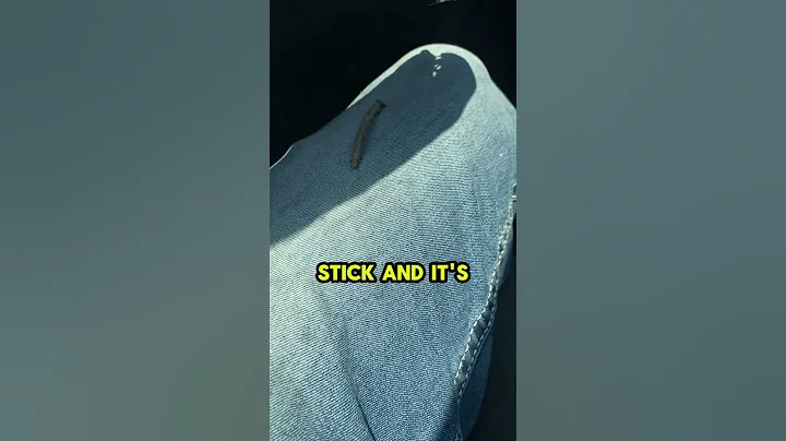 I Thought It Was A Stick Until It Moved!