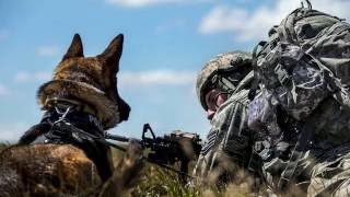 US Veteran Tribute Video 2016