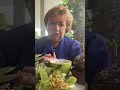 Отключаюсь … а там такое ! #здоровье #здоровыйдух