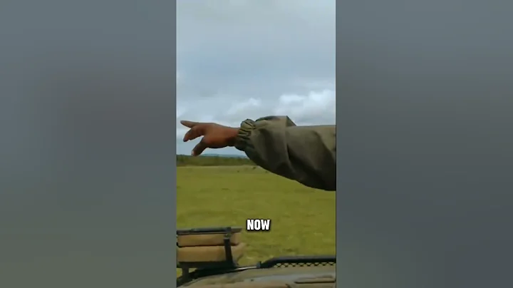 crocodile attacks unsuspecting cheetah cub