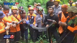 Ular Kobra Dilepasliarkan Organisasi Relawan di Tempat Wisata, Warga Madiun Protes