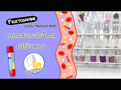 การตรวจระดับ Fructosamine ในเลือด สำหรับโรคเบาหวาน l สหเวชศาสตร์ จุฬาฯ #labclinchem