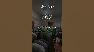 القران الكريم راحة نفسية #اكسبلور #تيك_توك #رب #ترند #في #دويتو #الله #تصويري #لايك