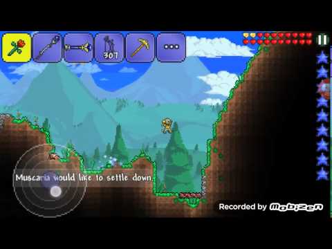 Terraria #3: Stinger And Jungle Spores Hunt 