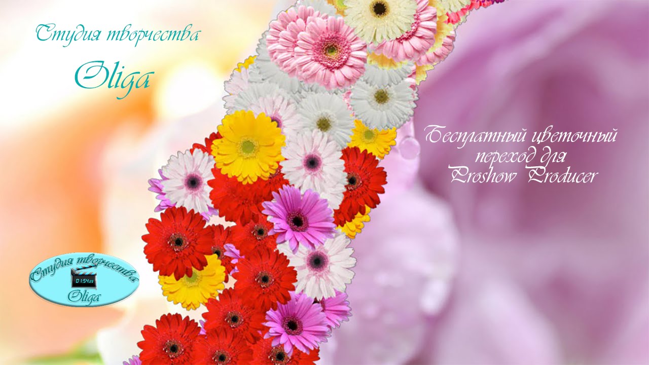 ЦВЕТОЧНЫЕ ПЕРЕХОДЫ ДЛЯ ПРОШОУ ПРОДЮСЕР СКАЧАТЬ БЕСПЛАТНО ЦВЕТОЧНЫЕ ПЕРЕХОДЫ ДЛЯ ПРОШОУ ПРОДЮСЕР СКАЧАТЬ БЕСПЛАТНО