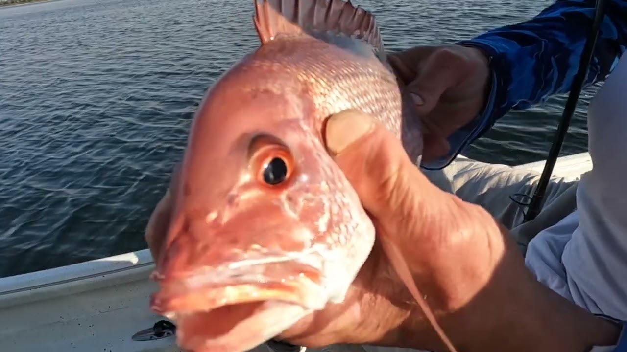 I almost DID NOT post this Video!!   Fishing St Andrews Bay in Panama City Florida
