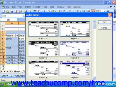 Excel 2003 Tutorial AutoFormatting PivotTables Microsoft Training Lesson 23.5