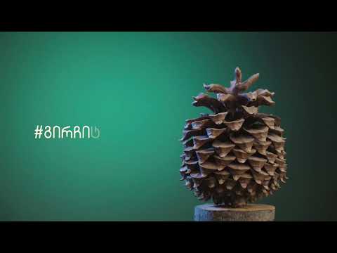 კონვერტაცია 06.08.20