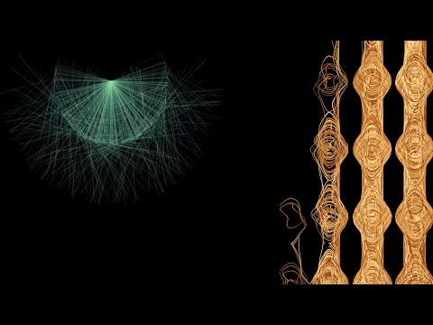 Phase space of 1000 double pendulums HD 60FPS #physics #simulation