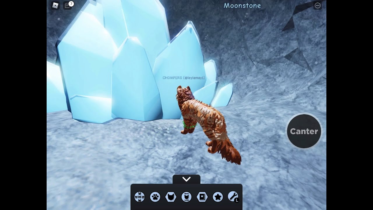 How to be a good medicine cat in wcue!! Smiley Gurl YouTube