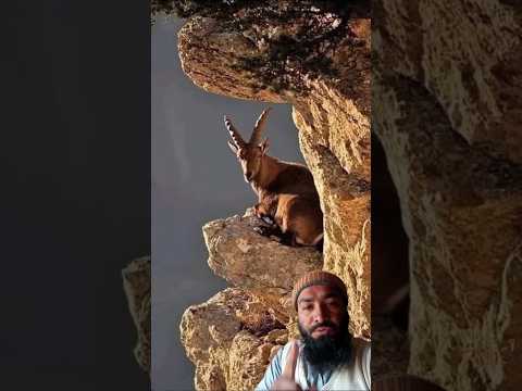 Running Fast Tool! 🥰 New Viral Gadgets,SmartKitchen Appliances, Tools,Utensils,Home Cleaning #shorts