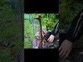 Bushcraft Survival & Camping 🌲 | Real Skills You Need #shorts