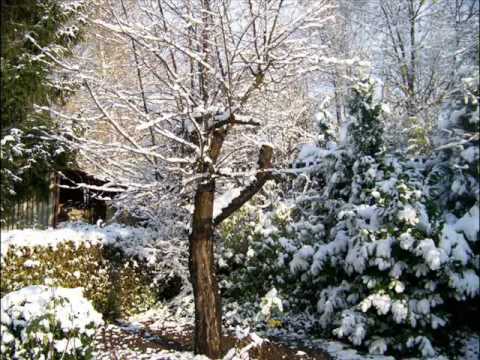 Старое кафе "Ангелы"
